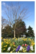 Spring at Granville Loop park